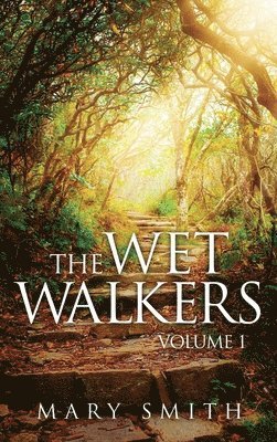 bokomslag Wet Walkers