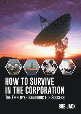 bokomslag How To Survive In The Corporation