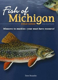 bokomslag Fish of Michigan Field Guide