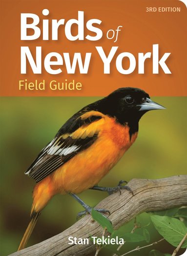 bokomslag Birds of New York Field Guide