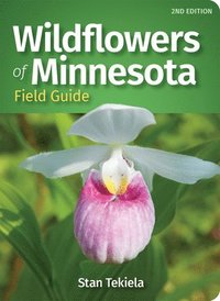 bokomslag Wildflowers of Minnesota Field Guide