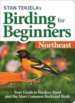 bokomslag Stan Tekiela's Birding for Beginners: Northeast