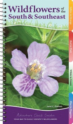 Wildflowers of the South & Southeast 1