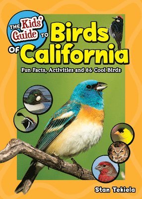 Kids' Guide to Birds of California