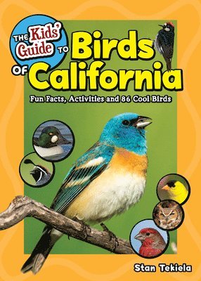 The Kids' Guide to Birds of California 1