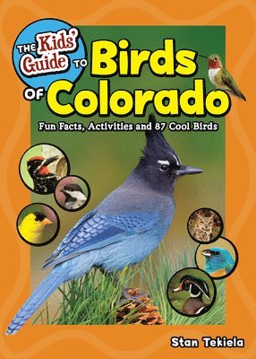 bokomslag Kids' Guide to Birds of Colorado