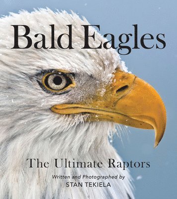 bokomslag Bald Eagles