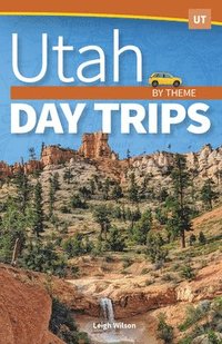 bokomslag Utah Day Trips by Theme