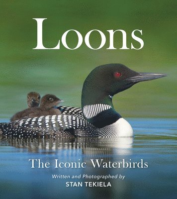 Loons 1