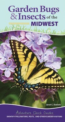 Garden Bugs & Insects of the Midwest