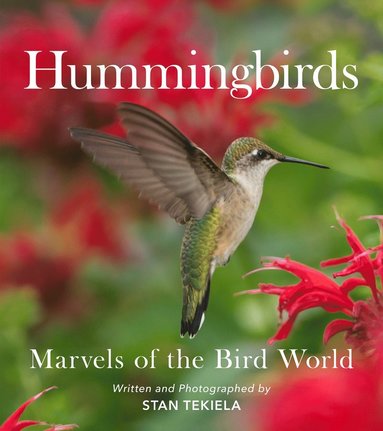 bokomslag Hummingbirds