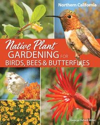 bokomslag Native Plant Gardening for Birds, Bees & Butterflies: Northern California