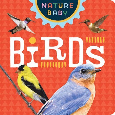 Nature Baby: Backyard Birds 1