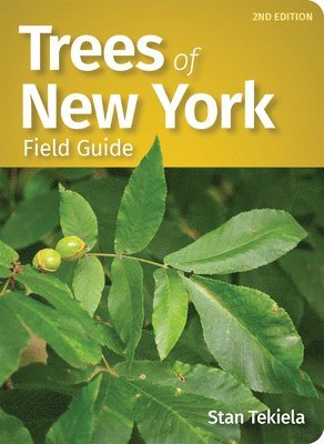bokomslag Trees of New York Field Guide