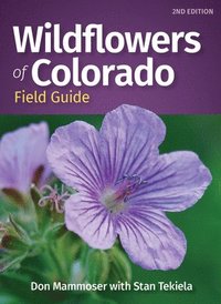bokomslag Wildflowers of Colorado Field Guide