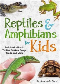 bokomslag Reptiles & Amphibians for Kids