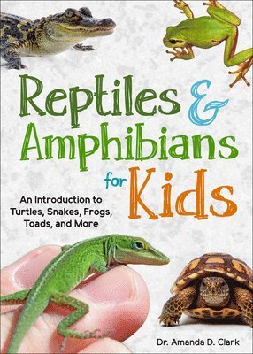 Reptiles & Amphibians for Kids 1