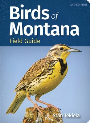 bokomslag Birds of Montana Field Guide