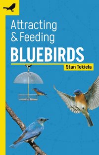 bokomslag Attracting & Feeding Bluebirds