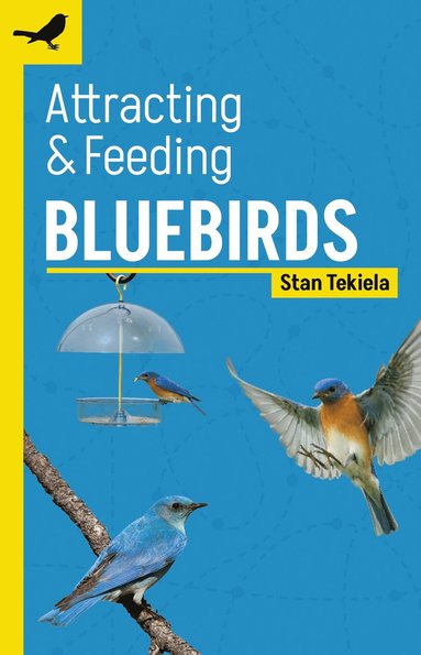 bokomslag Attracting & Feeding Bluebirds