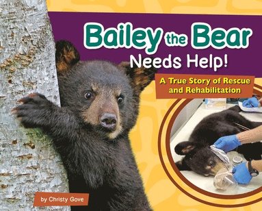 bokomslag Bailey the Bear Needs Help!