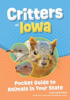 bokomslag Critters of Iowa
