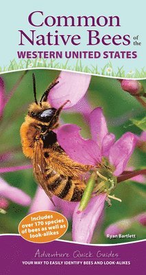 Ryan Bartlett - Common Native Bees of the Western United States, Häftad