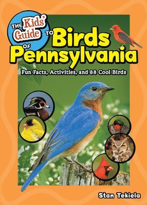 bokomslag Kids' Guide to Birds of Pennsylvania
