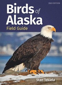 bokomslag Birds of Alaska Field Guide