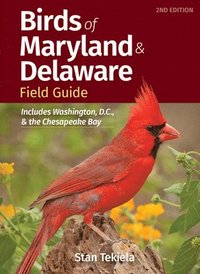bokomslag Birds of Maryland & Delaware Field Guide