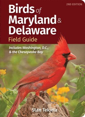 bokomslag Birds of Maryland & Delaware Field Guide