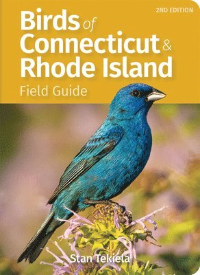 bokomslag Birds of Connecticut Field Guide