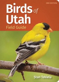 bokomslag Birds of Utah Field Guide