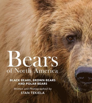 bokomslag Bears of North America