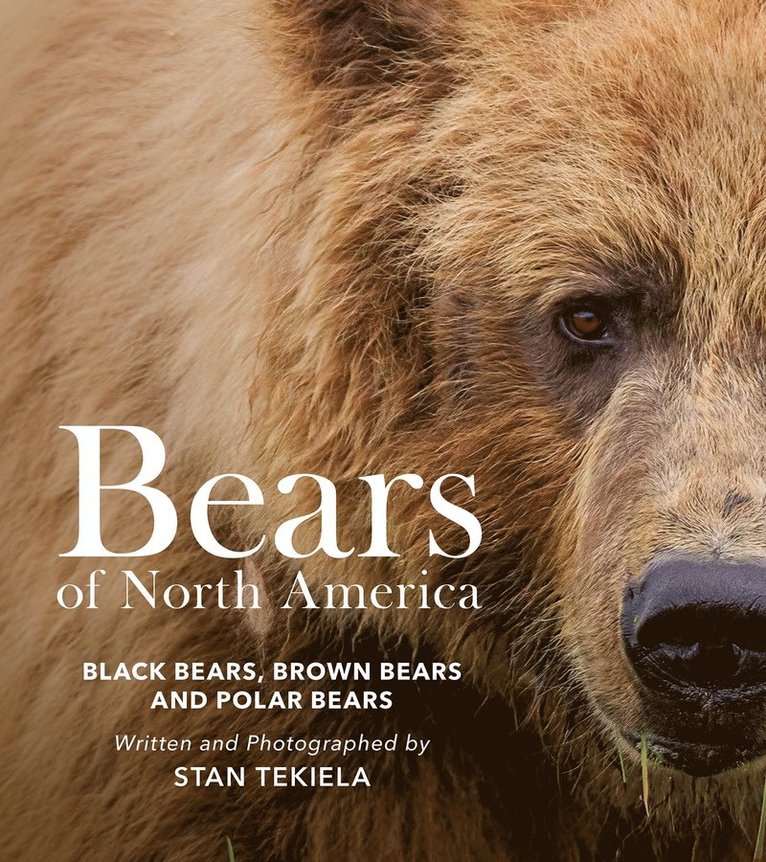 Stan Tekiela - Bears of North America, Häftad