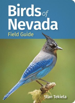 bokomslag Birds of Nevada Field Guide
