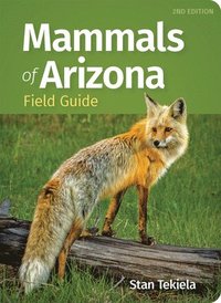 bokomslag Mammals of Arizona Field Guide