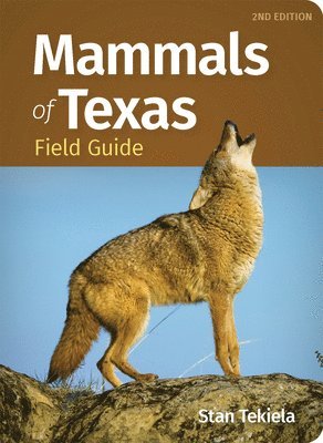 bokomslag Mammals of Texas Field Guide