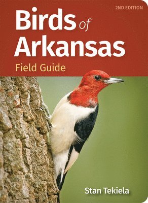 bokomslag Birds of Arkansas Field Guide