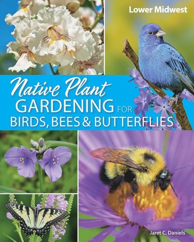 bokomslag Native Plant Gardening for Birds, Bees & Butterflies: Lower Midwest