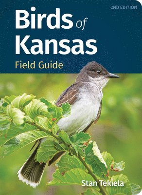 Birds of Kansas Field Guide 1