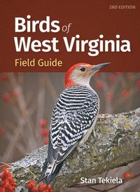 bokomslag Birds of West Virginia Field Guide