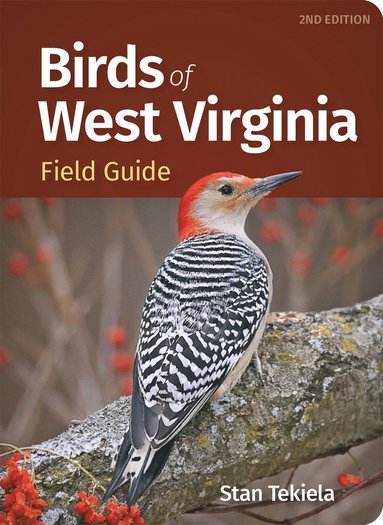 bokomslag Birds of West Virginia Field Guide