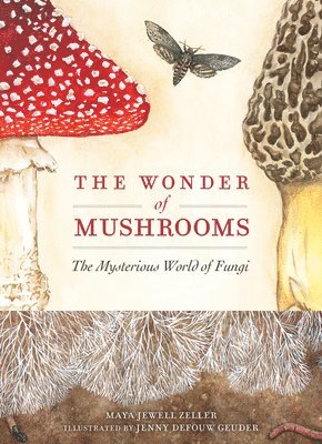 Wonder of Mushrooms 1