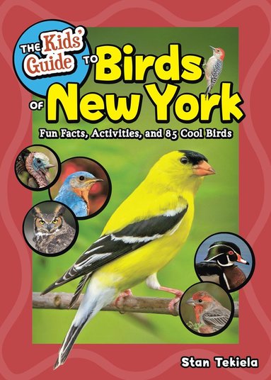 bokomslag Kids' Guide to Birds of New York