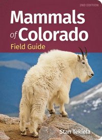 bokomslag Mammals of Colorado Field Guide