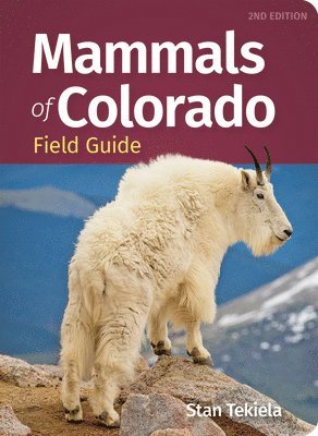 bokomslag Mammals of Colorado Field Guide