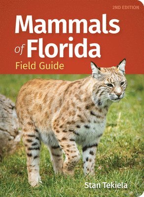 bokomslag Mammals of Florida Field Guide