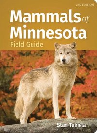 bokomslag Mammals of Minnesota Field Guide