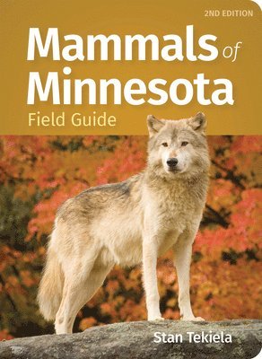 Mammals of Minnesota Field Guide 1